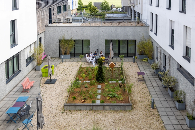 Conseillers en transition énergétique et écologique en santé : des résultats probants et un nouvel AMI pour consolider le réseau