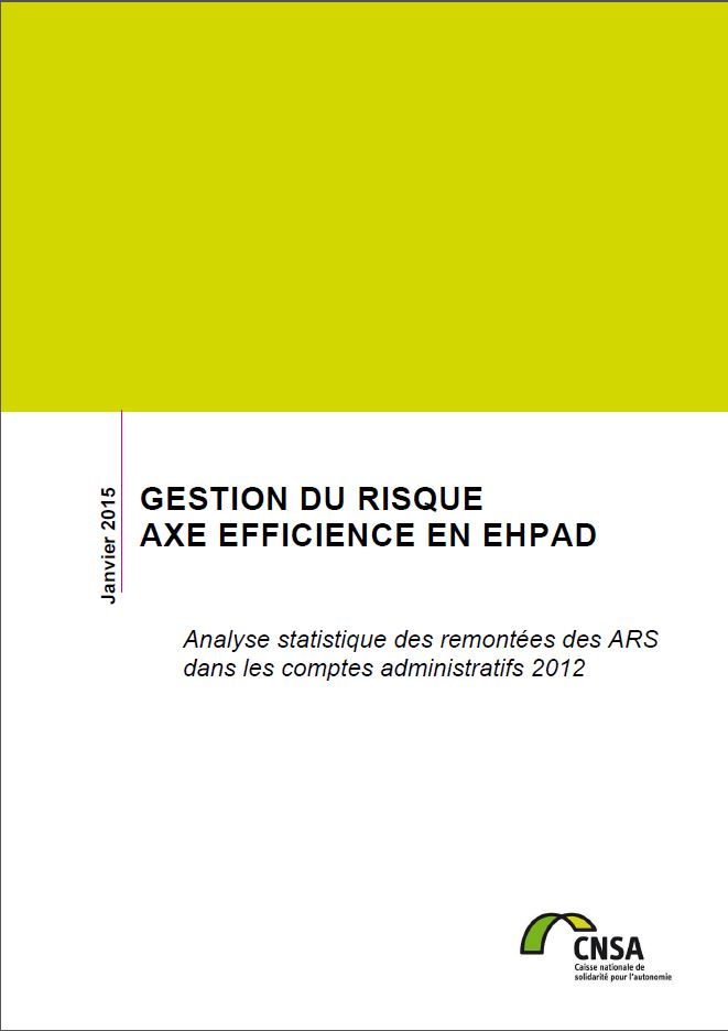 Rapport sur la gestion du risque, axe Efficience en EHPAD (comptes administratifs 2012) (PDF, 3.01 Mo)