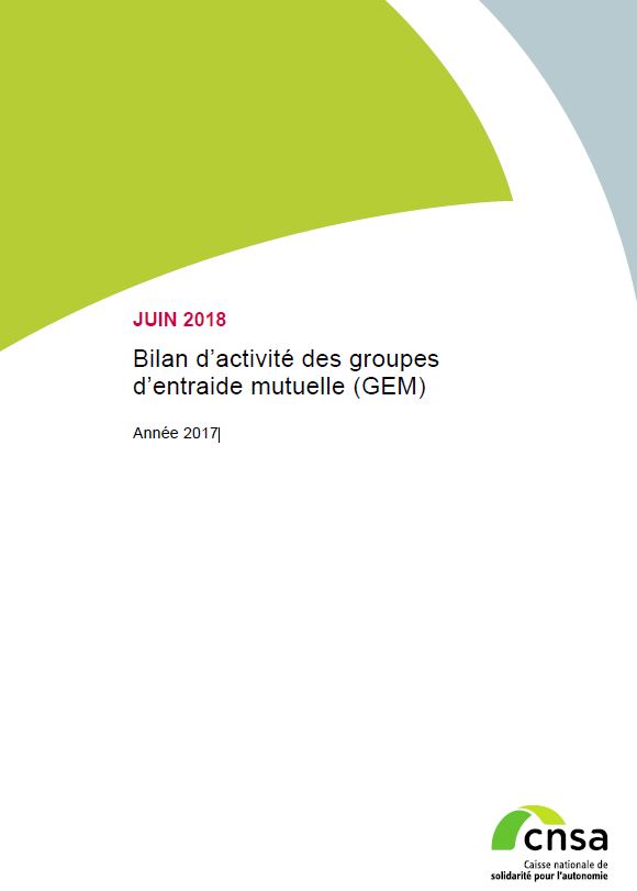 Bilan d’activité des groupes d’entraide mutuelle (GEM). Année 2017 (PDF, 7.31 Mo)