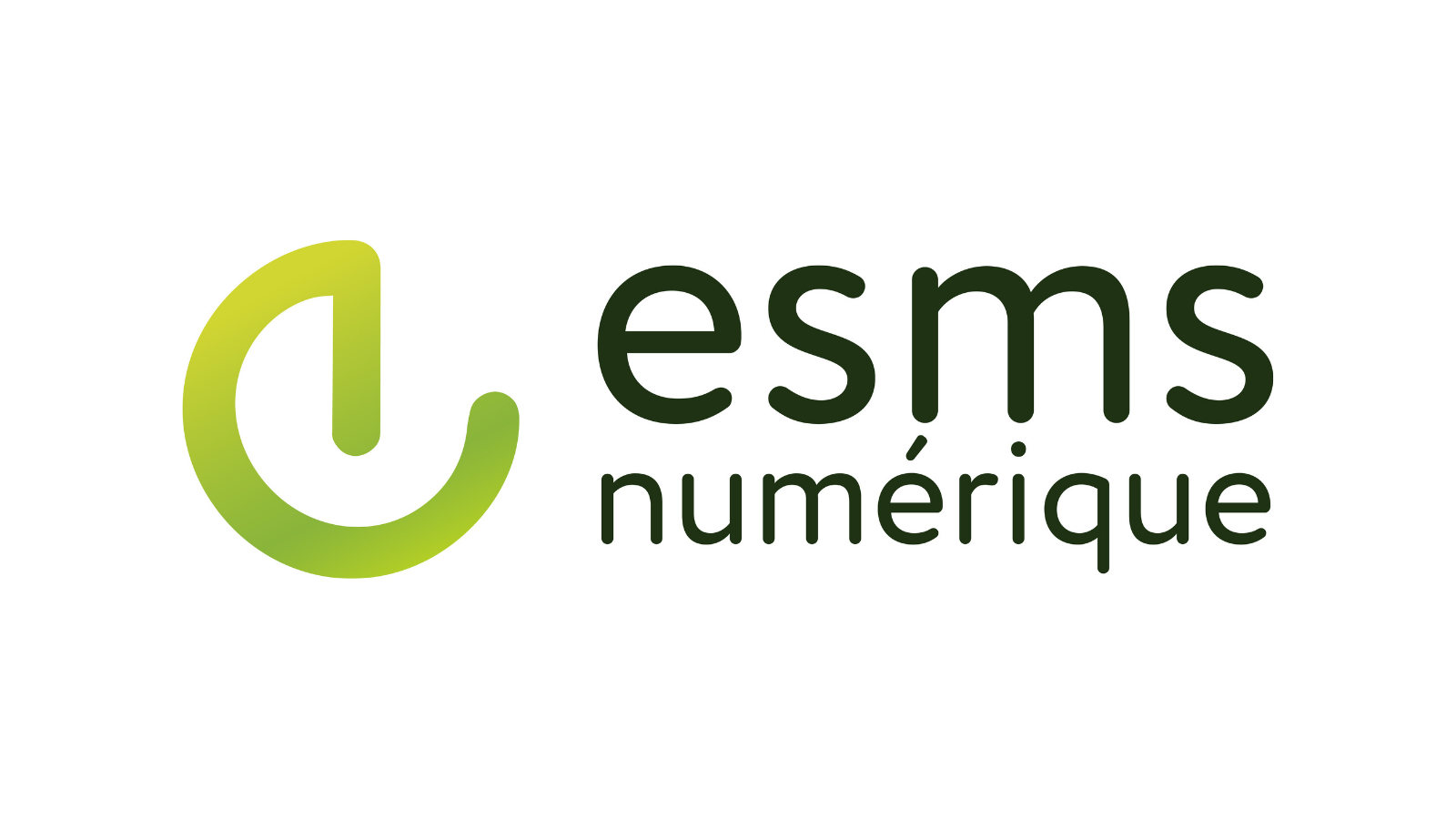 Logo ESMS numérique