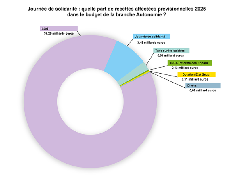 Graphique représentant la part des recettes affectées « prévisionnelles » 2025 dans le budget de la branche Autonomie.
- CSG : 37,29 milliards,
- Journée de solidarité : 3,48 milliards,
- Taxe sur les salaires : 0,91 milliard,
- TSCA (réforme des Ehpad) : 0,13 milliard,
- Dotation État Ségur : 0,11 milliard,
- Divers : 0,09 milliard.