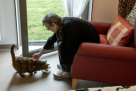 photo montrant une personne âgée assise dans un fauteuil rouge, caressant un chat en train de manger par terre