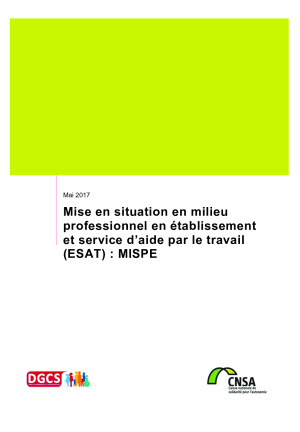 PUB-mise-en-situation-en-milieu-professionnel.pdf