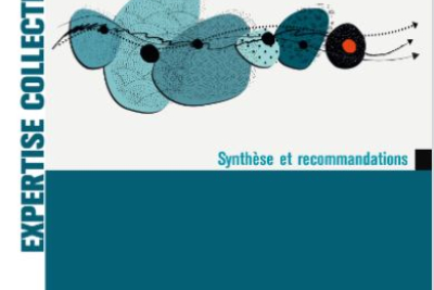 Couverture de l'expertise collective INSERM polyhandicap