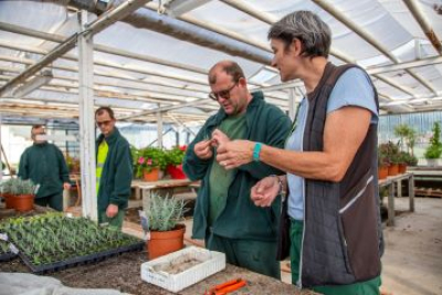 photo montrant un esat horticole